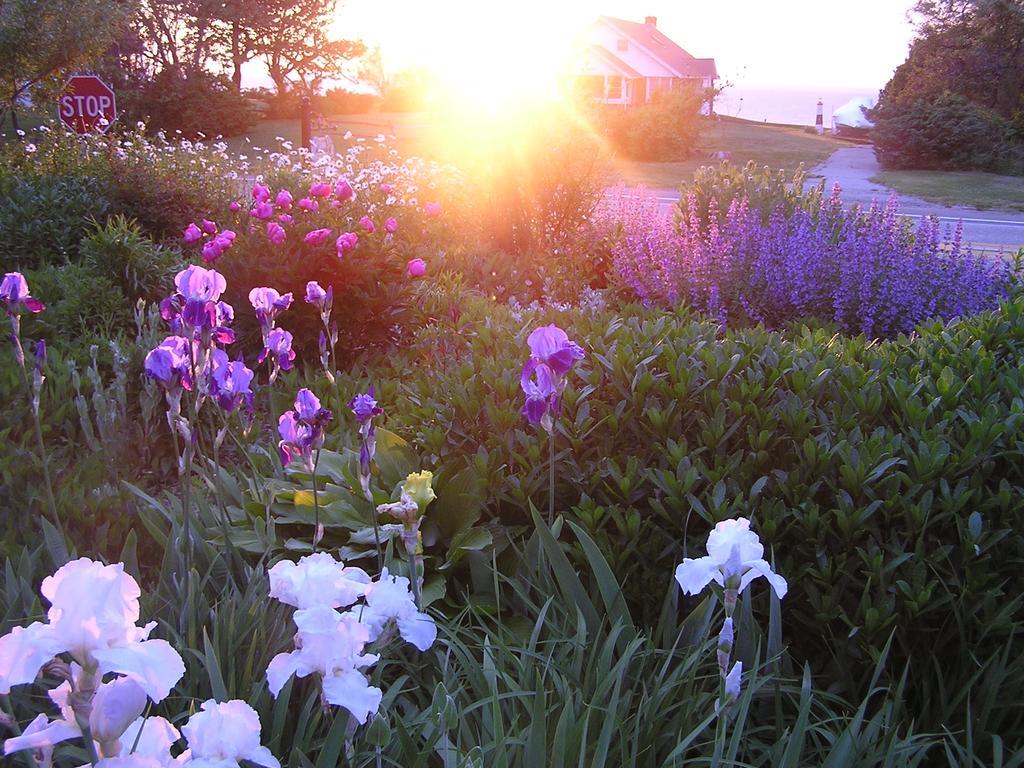 Shorecrest Bed And Breakfast Southold Exterior photo